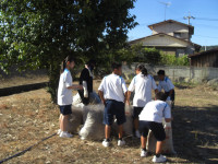 CIMG0236