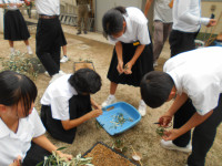 DSCN2070
