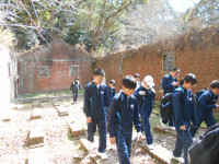 DSCN6335