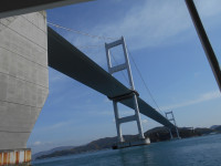 DSCN6308