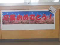 DSCN3015