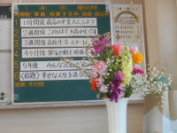 DSCN3025