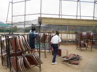 DSCN4620