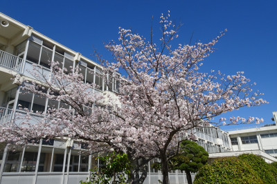 DSC00069