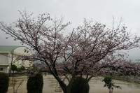 DSC00077
