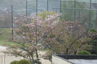 DSC00124