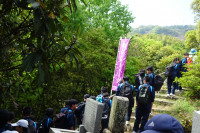 DSC00222