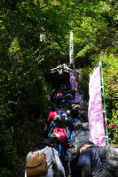 DSC00230