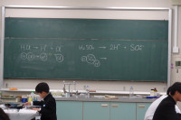 DSC00511