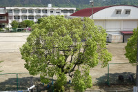 DSC00540