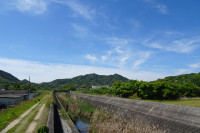 DSC00684
