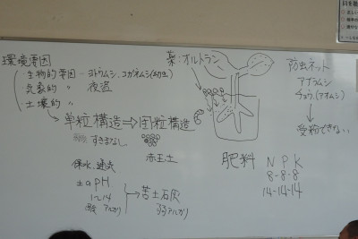 DSC01413