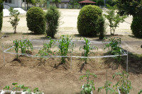 DSC01418