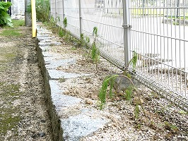 P1000973