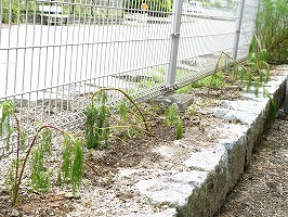 P1000972