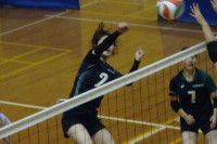 DSC02196