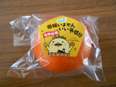 DSCN6724