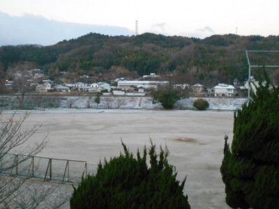 DSCN6774