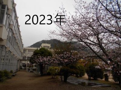 DSCN0486