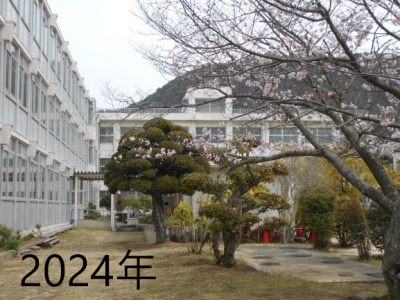 DSCN7454