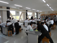 DSCN1181