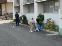 DSCN1271