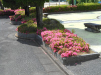 DSCN1268