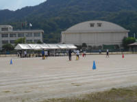 DSCN1594