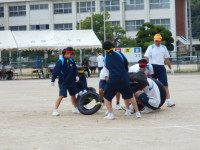 DSCN1782