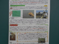 DSCN1950