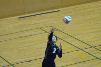 DSC01193