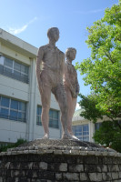 DSC02329