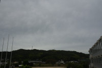 DSC02385