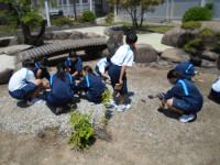 DSCN1151